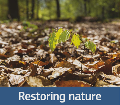 Nature restoration success stories.PNG