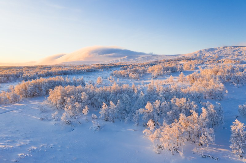 Sweden | Countries | Biodiversity Information System for Europe