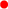 maes-red.png