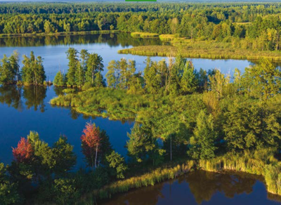 Nature Restoration Regulation in a nutshell