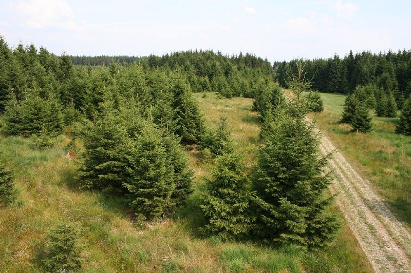 Peatland restoration_Box 4.7.jpg