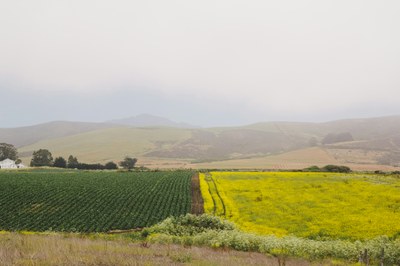  The importance of restoring nature in Europe