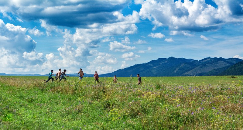 Habitat to be restored report