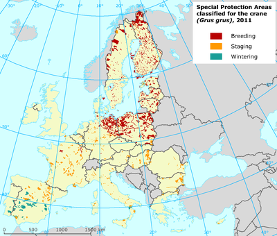 Special Protection Areas classified for the crane.png