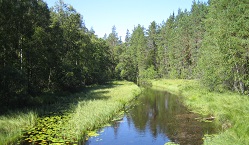 Habitats Directive Annex I habitat types