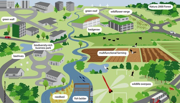 green-infrastructure.bmp